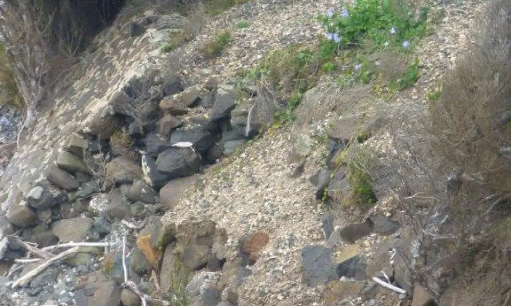 Coastal Erosion Landslips